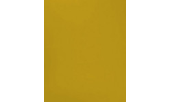 XRZ - Mustard Yellow 